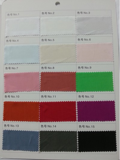 GZ- LEEN  C75% T25% L58093 後面照